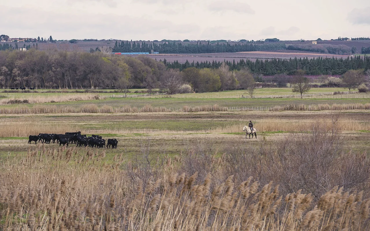 Vue du territoire autour de Vauvert