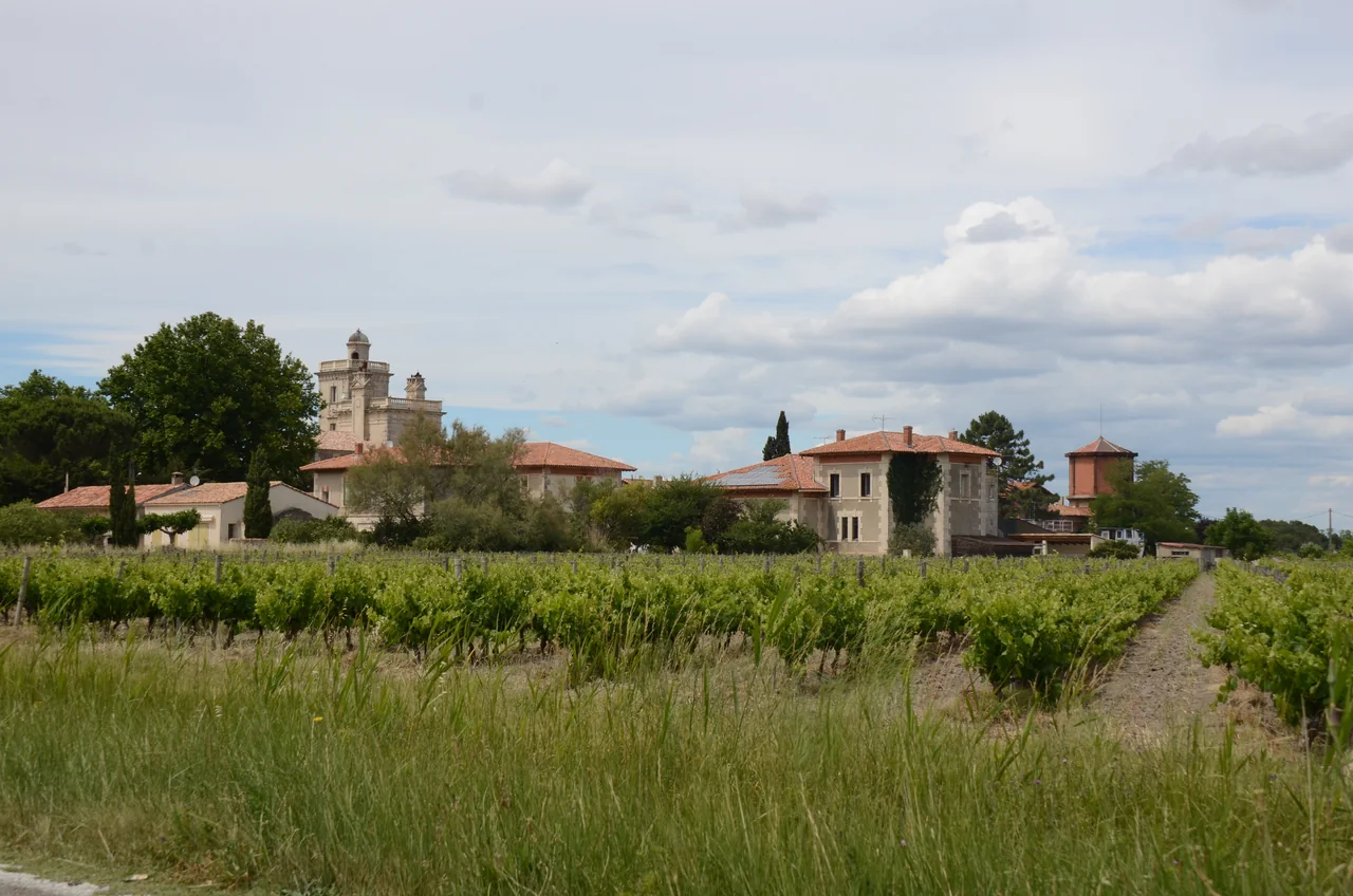 Territoire illustrant le contexte de Vauvert
